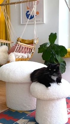 a black and white cat laying on top of a stool in a living room next to a potted plant