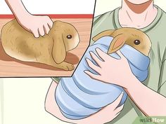 a person holding a rabbit in their arms