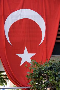 a large red flag with a white star and crescent on it's side next to a tree