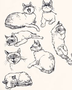 a drawing of cats laying and lying down