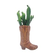 a plant in a cowboy boot with green plants growing out of the inside, on a white background