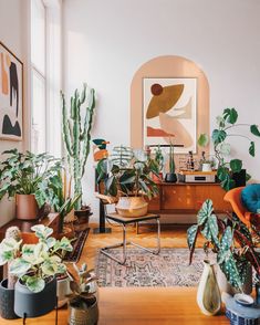 a living room filled with lots of potted plants on top of a wooden table