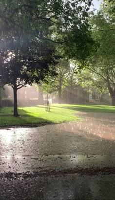 the sun shines through the trees on a rainy day