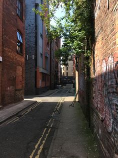 an alleyway with graffiti on the walls and trees growing up it's sides