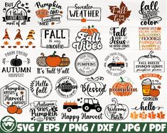 fall svg bundle with pumpkins, leaves and other autumn related items for cutting