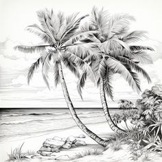 a black and white drawing of a palm tree on the beach with rocks in the foreground