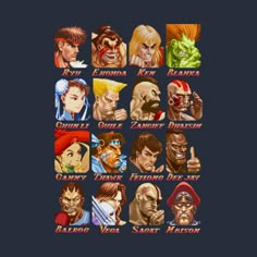 the characters in street fighter iv