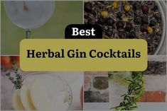 the best herbs for gin cocktails