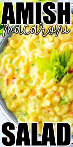 an image of a bowl of food with the words amish macaroni salad