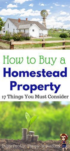 how to buy a homestead property 17 things you must consider