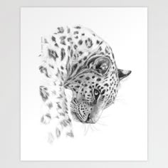 a black and white drawing of a leopard's head with spots on its fur