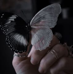 a black and white butterfly sitting on someone's hand with the caption, i am not sure what this is