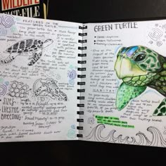 an open notebook with drawings of turtles and other marine creatures on it, along with the words green turtle