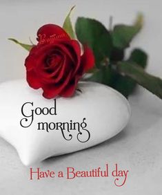 a red rose sitting on top of a white heart shaped pillow with the words good morning have a beautiful day