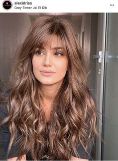 fall hair colors, winter hair color, dark fall hair colors, brunette balayage hair Bardot Bangs, Brunette Balayage Hair, Long Bangs, Balayage Brunette, Haircuts For Long Hair, Hair Inspiration Color, Long Layers