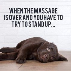 Massage Meme, K Tape, Remedial Massage, Pregnancy Massage