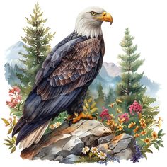 an eagle sitting on top of a rock surrounded by flowers and trees with mountains in the background