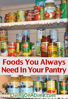 an organized pantry filled with canned food and labeled foods you always need in your pantry