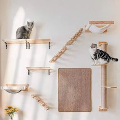 two cats sitting on top of wooden shelves in a living room next to a cat tree