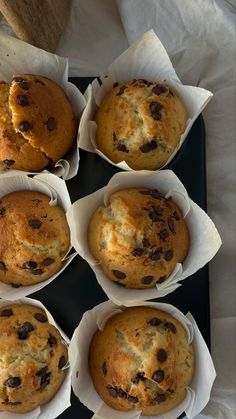 six muffins in paper cups on a tray