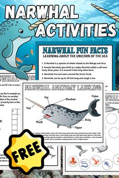 narwhale activities for kids to learn about the ocean animals and their habitats