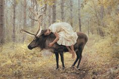 Of Cabbages and Kings Twisted Fairytales, Surreal Portrait, Dream Photography, Fantasy Portraits, A Deer, Main Game, Mori Girl, Art Plastique, In The Woods