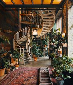 a spiral staircase in the middle of a room with potted plants