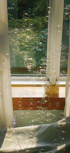 bubbles floating in front of a window on a sunny day