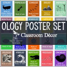 a poster with different types of posters on it