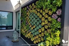 a living wall with succulents and other plants on the side of a building