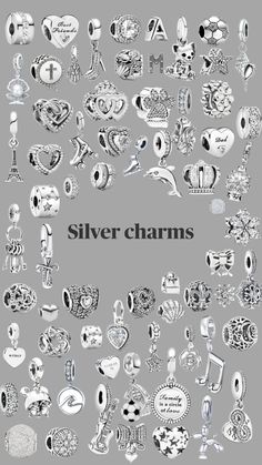 #fyppppp #pandora #silver #charms #pandocharms #prt #tiktok #money Tiktok Money, Silver Pandora Charms, Pandora Bracelet Silver