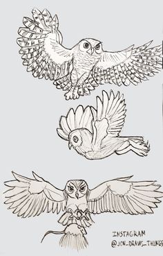 three owls are flying in the air with their wings spread out and one owl is sitting on