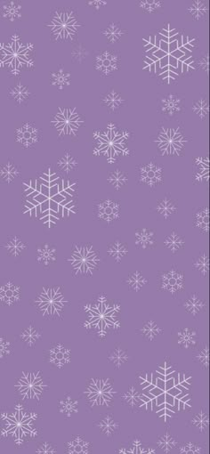 snow flakes on a purple background