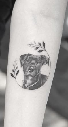 a black and white photo of a dog with leaves on it's arm is shown