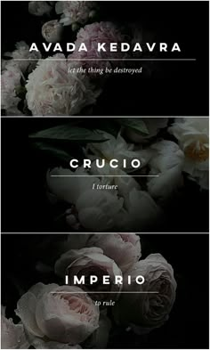 three different types of flowers with the words cruccio in spanish and english on them