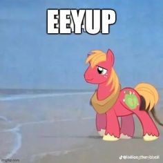 a pink pony standing on top of a beach next to the ocean with words eyiup