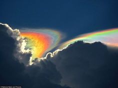 a rainbow appears in the clouds as it is partially hidden by its bright, colorful tail