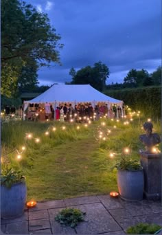 people are gathered in the garden at night