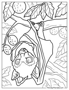 a coloring page with an image of a tree branch and fruit hanging from it's branches