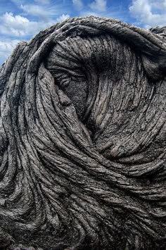 an animal's eye is seen through the bark of a large tree trunk in front of a blue sky with wispy clouds