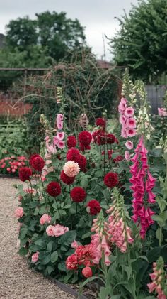 many different colored flowers in a garden