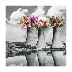 three vases filled with flowers sitting on top of a lake