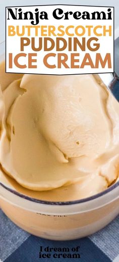 Ninja Creami Butterscotch Ice Cream - I Dream of Ice Cream Butterscotch Ninja Creami, Ninja Creami Recipes For Kids, Butterscotch Ice Cream Recipe, Snickerdoodle Ninja Creami, Ninja Creami Alcohol Recipes, Creami Ninja Recipe, Recipes Non Dairy, Home Made Ice Cream Recipes, Pudding Ice Cream Recipe