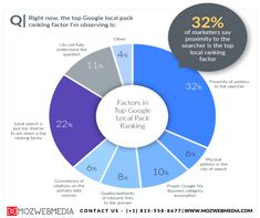 a pie chart showing the percentage of top google searchers