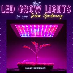 Best LED Grow Lights 2021 for your Indoor Gardening Greenhouse Lighting, Best Led Grow Lights, Indoor Grow, Grow Boxes, Grow Light Bulbs, Grow Lamps, Grow Room, Grow Lights For Plants, Hydroponic Plants