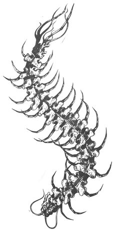 a black and white image of a skeleton with large claws on it's back