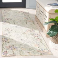 a large rug in the middle of a room with a potted plant next to it