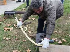 a man bending over to check on the hose he is holding in front of him