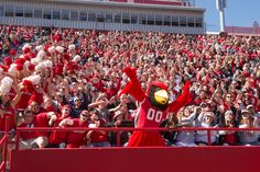 a large group of people in red and white outfits at a football game with a mascot