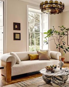 a living room filled with furniture and a large potted plant on top of a table